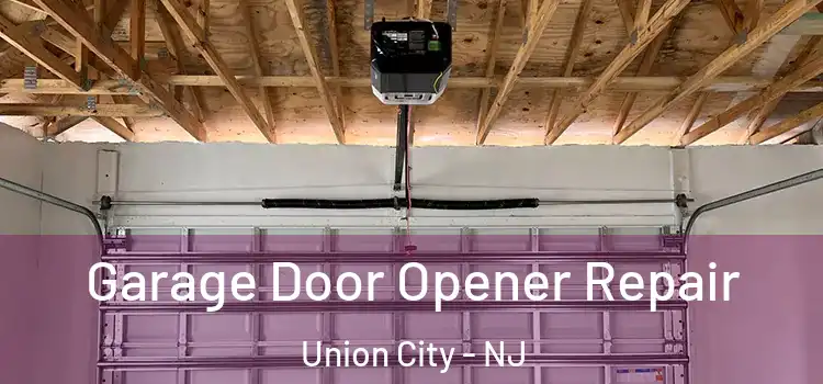  Garage Door Opener Repair Union City - NJ
